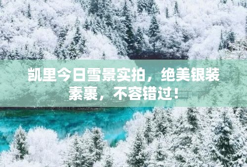 凱里今日雪景實拍，絕美銀裝素裹，不容錯過！