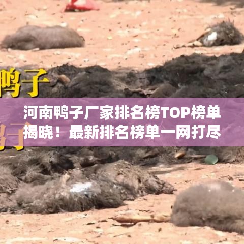 河南鴨子廠家排名榜TOP榜單揭曉！最新排名榜單一網(wǎng)打盡！