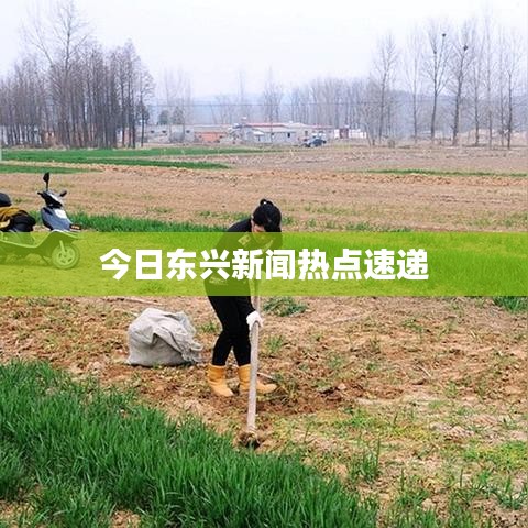 今日東興新聞熱點(diǎn)速遞