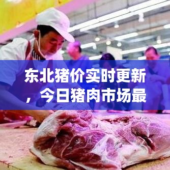 東北豬價(jià)實(shí)時(shí)更新，今日豬肉市場最新動(dòng)態(tài)分析