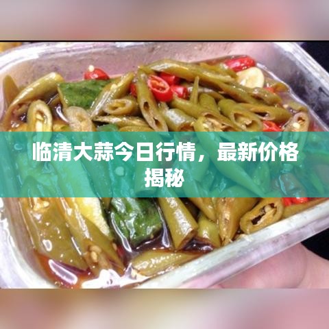 臨清大蒜今日行情，最新價(jià)格揭秘