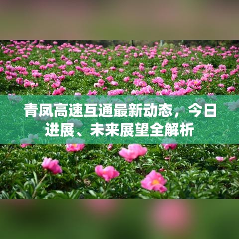 陽(yáng)春白雪 第3頁(yè)