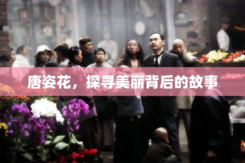 唐姿花，探尋美麗背后的故事