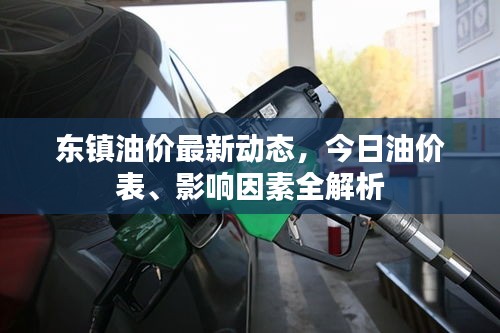 東鎮(zhèn)油價(jià)最新動(dòng)態(tài)，今日油價(jià)表、影響因素全解析