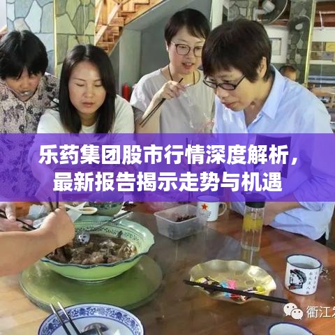 樂藥集團股市行情深度解析，最新報告揭示走勢與機遇