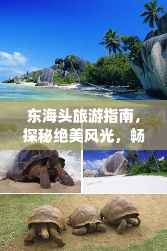 東海頭旅游指南，探秘絕美風(fēng)光，暢游夢(mèng)幻之旅！