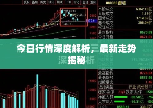 今日行情深度解析，最新走勢揭秘