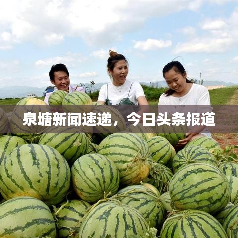 泉塘新聞速遞，今日頭條報(bào)道