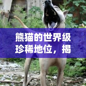 鐵杵成針 第3頁