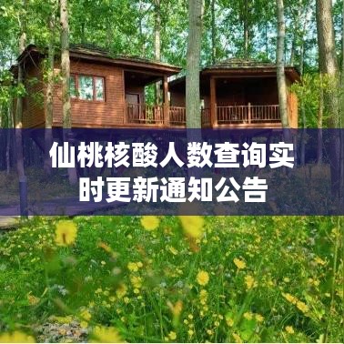 仙桃核酸人數(shù)查詢實時更新通知公告