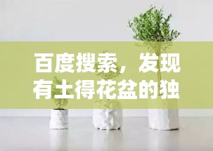 百度搜索，發(fā)現(xiàn)有土得花盆的獨(dú)特魅力