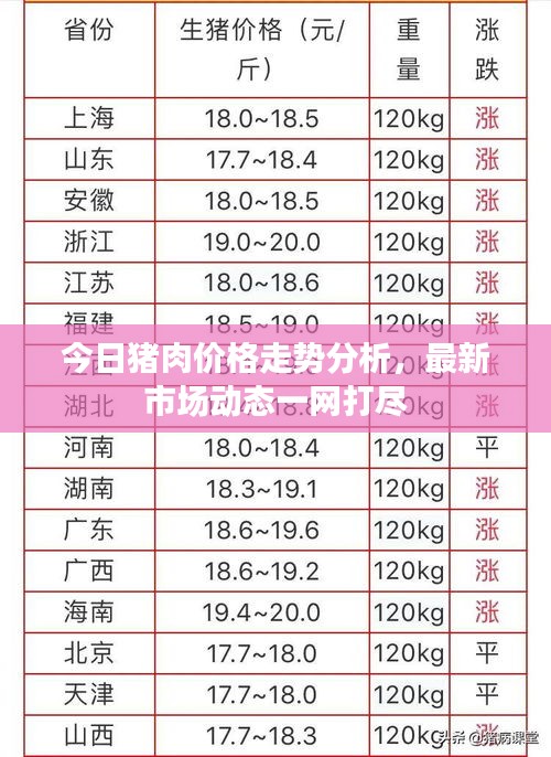 今日豬肉價格走勢分析，最新市場動態(tài)一網(wǎng)打盡