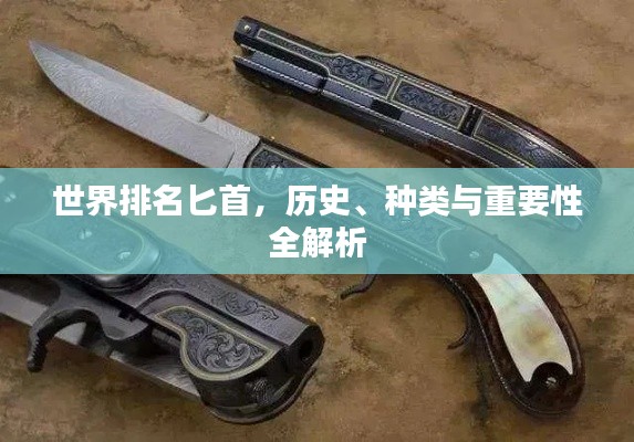 世界排名匕首，歷史、種類與重要性全解析