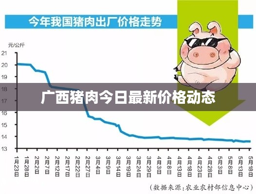 廣西豬肉今日最新價格動態(tài)