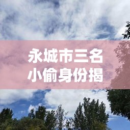 永城市三名小偷身份揭秘與最新動(dòng)態(tài)報(bào)道