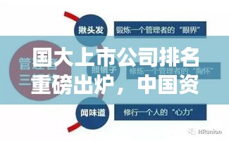 國大上市公司排名重磅出爐，中國資本市場龍頭企業(yè)全景解析