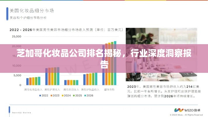 芝加哥化妝品公司排名揭秘，行業(yè)深度洞察報(bào)告