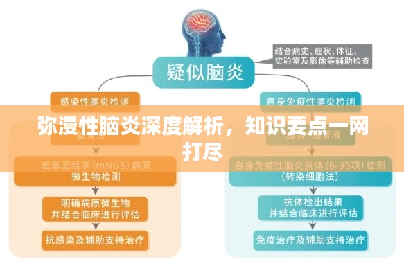 彌漫性腦炎深度解析，知識(shí)要點(diǎn)一網(wǎng)打盡