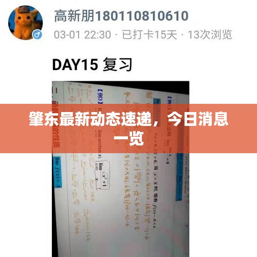 肇東最新動(dòng)態(tài)速遞，今日消息一覽
