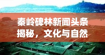 秦嶺碑林新聞頭條揭秘，文化與自然的和諧交融之旅
