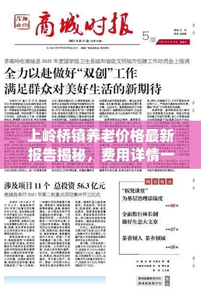 上嶺橋鎮(zhèn)養(yǎng)老價格最新報(bào)告揭秘，費(fèi)用詳情一網(wǎng)打盡