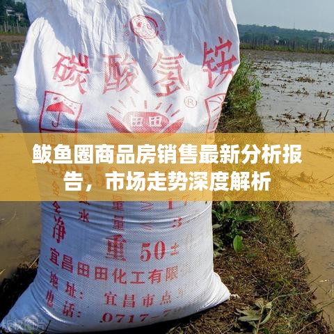 鲅魚圈商品房銷售最新分析報告，市場走勢深度解析