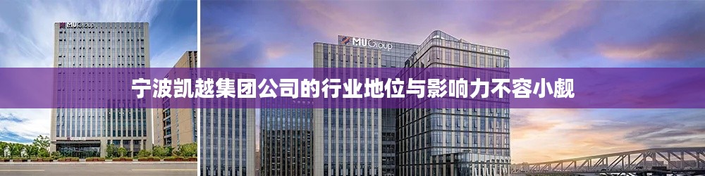 寧波凱越集團(tuán)公司的行業(yè)地位與影響力不容小覷
