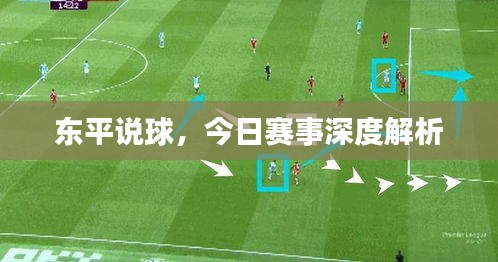東平說(shuō)球，今日賽事深度解析