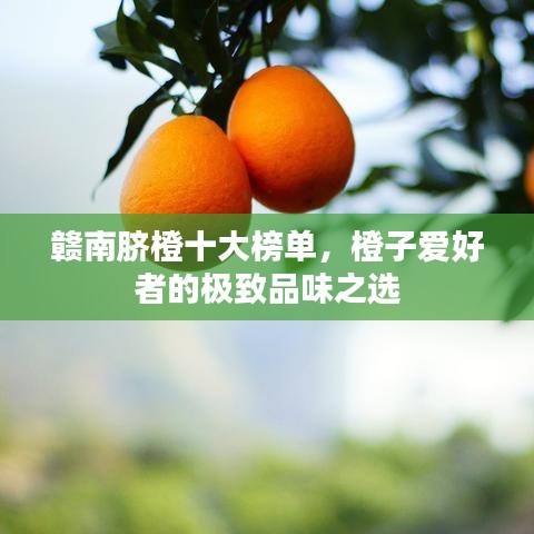 贛南臍橙十大榜單，橙子愛(ài)好者的極致品味之選