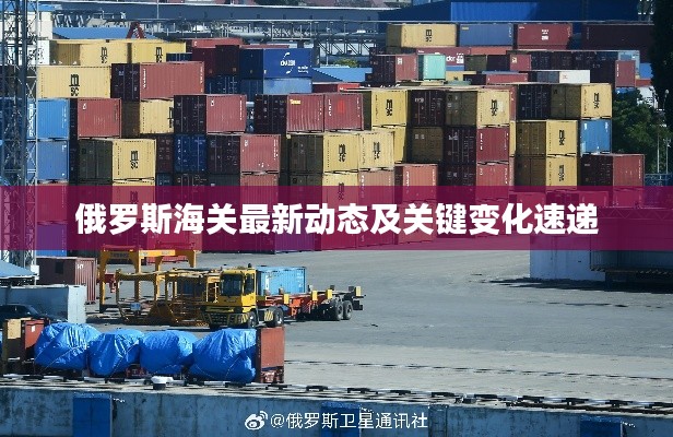 俄羅斯海關最新動態(tài)及關鍵變化速遞