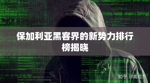 保加利亞黑客界的新勢力排行榜揭曉