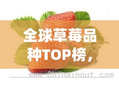 全球草莓品種TOP榜，十大草莓品種爭奇斗艷！