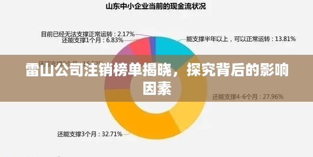 雷山公司注銷榜單揭曉，探究背后的影響因素