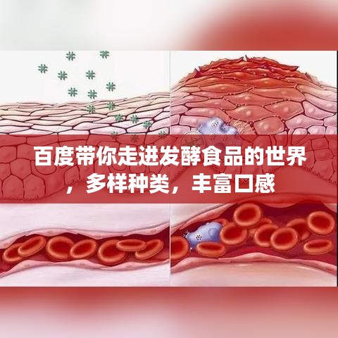 百度帶你走進(jìn)發(fā)酵食品的世界，多樣種類，豐富口感