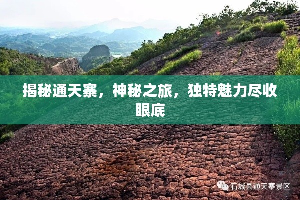 揭秘通天寨，神秘之旅，獨特魅力盡收眼底