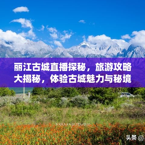 麗江古城直播探秘，旅游攻略大揭秘，體驗古城魅力與秘境之旅！