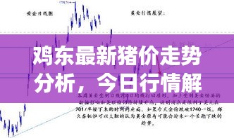 雞東最新豬價(jià)走勢分析，今日行情解讀