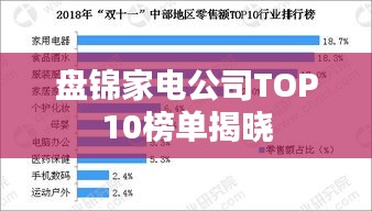 盤錦家電公司TOP10榜單揭曉