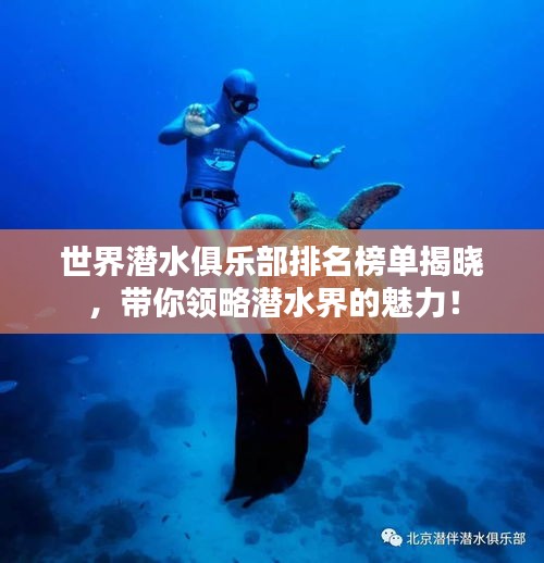 世界潛水俱樂部排名榜單揭曉，帶你領(lǐng)略潛水界的魅力！