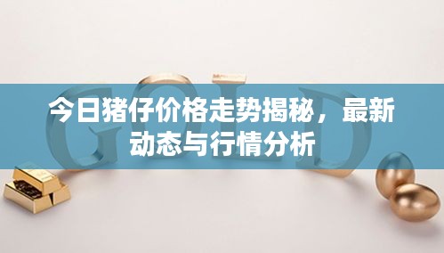 今日豬仔價(jià)格走勢(shì)揭秘，最新動(dòng)態(tài)與行情分析