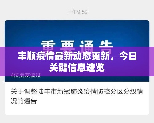 豐順疫情最新動態(tài)更新，今日關(guān)鍵信息速覽