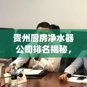 貴州廚房凈水器公司排名揭秘，市場影響力與市場份額的較量