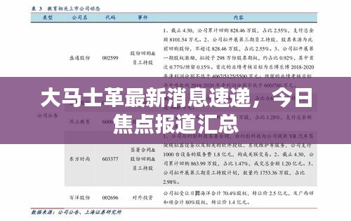 大馬士革最新消息速遞，今日焦點(diǎn)報(bào)道匯總