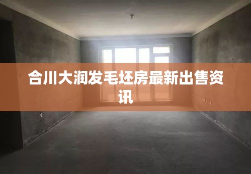 合川大潤發(fā)毛坯房最新出售資訊