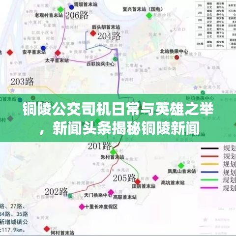 銅陵公交司機日常與英雄之舉，新聞頭條揭秘銅陵新聞