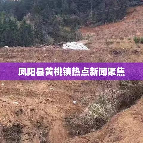 鳳陽縣黃桃鎮(zhèn)熱點新聞聚焦