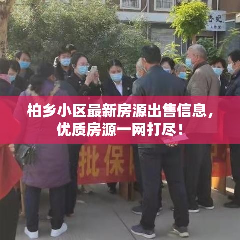 柏鄉(xiāng)小區(qū)最新房源出售信息，優(yōu)質(zhì)房源一網(wǎng)打盡！