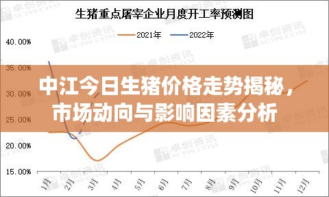 中江今日生豬價格走勢揭秘，市場動向與影響因素分析
