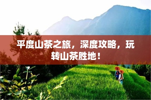 平度山茶之旅，深度攻略，玩轉(zhuǎn)山茶勝地！