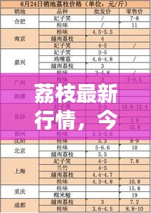 荔枝最新行情，今日價(jià)格走勢(shì)分析